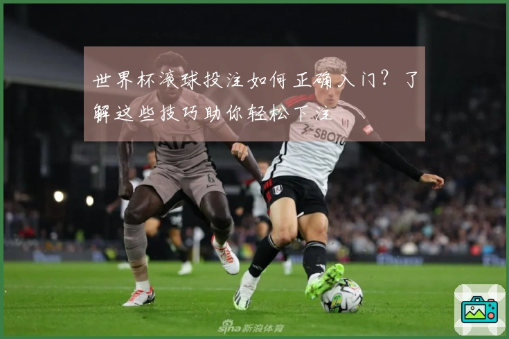 世界杯滚球投注如何正确入门？了解这些技巧助你轻松下注