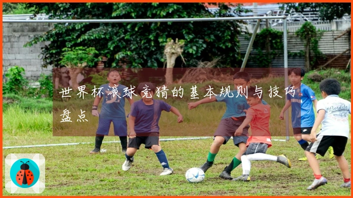 世界杯滚球竞猜的基本规则与技巧盘点