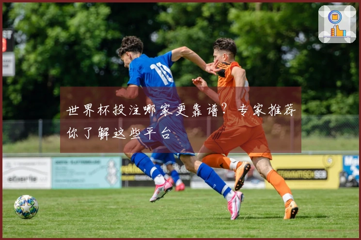 世界杯投注哪家更靠谱？专家推荐你了解这些平台