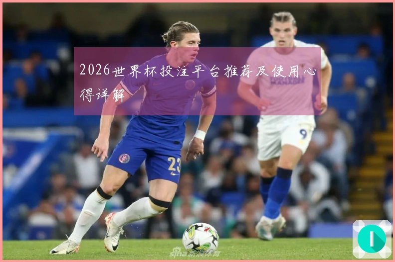 2026世界杯投注平台推荐及使用心得详解