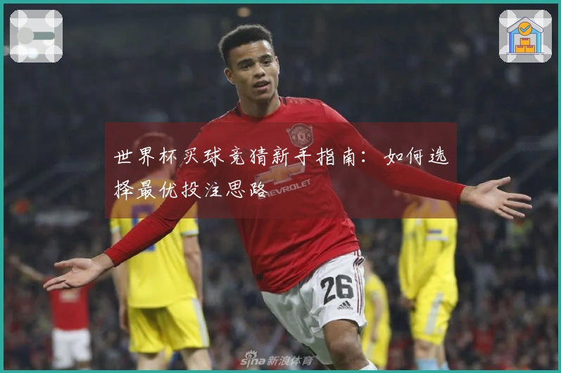 世界杯买球竞猜新手指南：如何选择最优投注思路